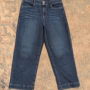 Ann Taylor Dark Blue Cropped Jeans